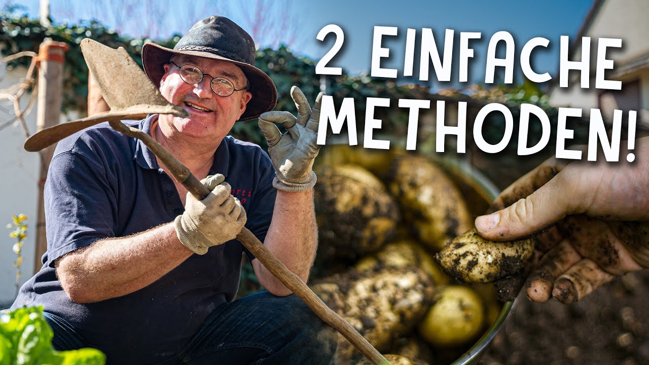 Gemüse anbauen Video 3