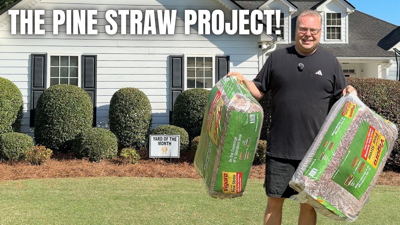 The Spring Pine Straw Project! | How I Maintain Edges & Tuck Pine Straw