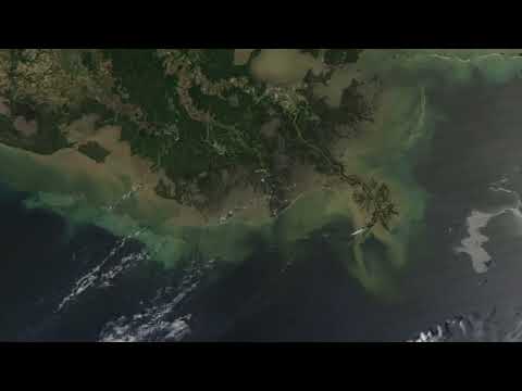 Types of River Deltas