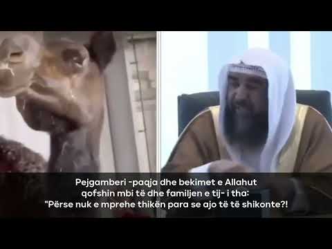 Edhe delen/kafshën nëse e mëshiron, të mëshiron Allahu | Shejkh Sulejman Er-Rruhejli حفظه الله