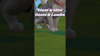 Giant And Mini Goats And Lambs | Sims 4 | No CC #sims4 #shortswithcamilla