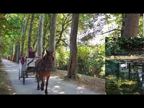 Vrelo Bosne - ako dodjete u Sarajevo obavezno posjetite ovo mjesto