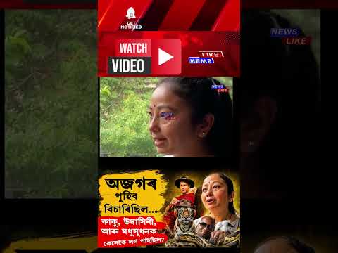 ZUBEEN GARG NEWS UPDATE Cover