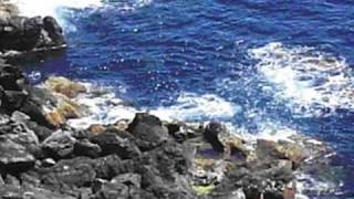 MARIA BETHANIA   "  AMOR, AMOR  "