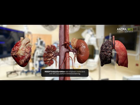 Insight Series - for Enterprise