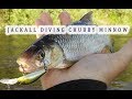 Craw Fish