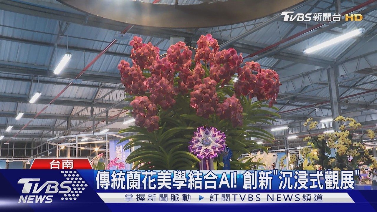 台灣國際蘭展登場！首日人潮爆滿　結合AI「沉浸式觀展」