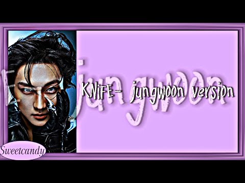ENHYPEN Knife (JUNGWOON Ver.) Lyrics