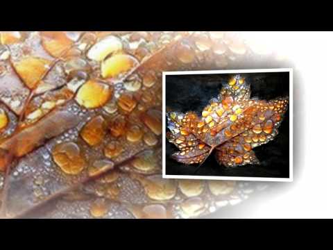 Tình sầu mưa và mây - Cẩm Vân