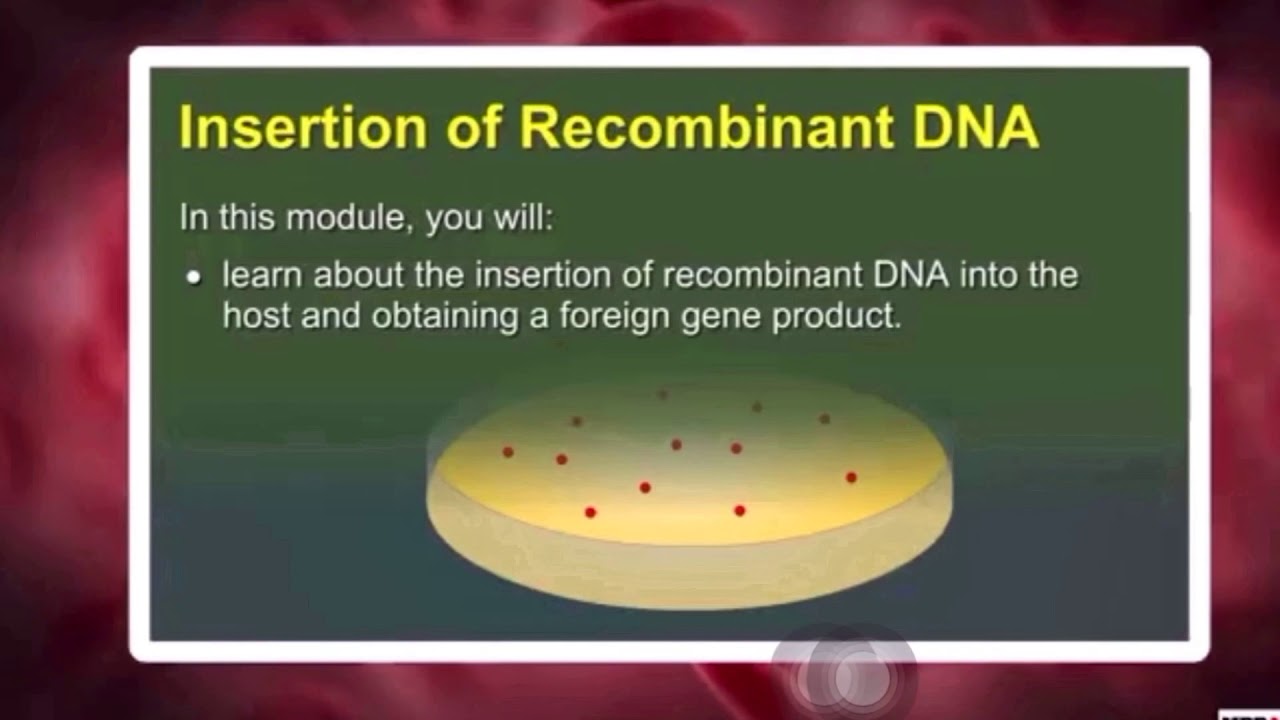 Insertion of recombinant DNA into host and obtaining a foreign gene product