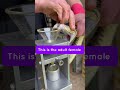 Person Is Doing A Venom Extraction From A Terciopelo Snake To Be Used In Research And Snak
