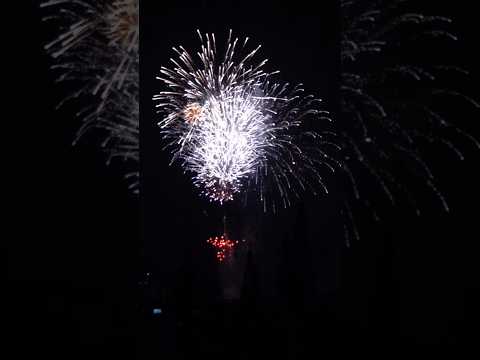 『宇治駐屯地納涼夏祭り』の花火。