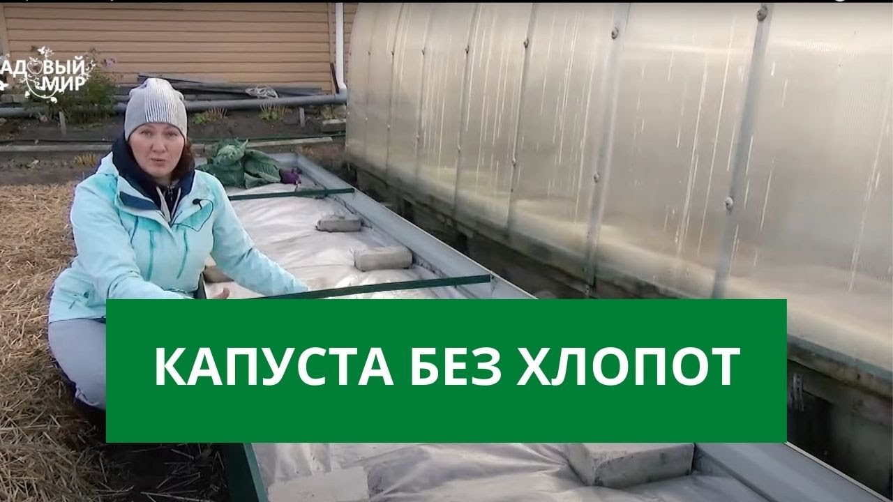На это стоит взглянуть! Как сохранить грядки капусты с зимы до лета!