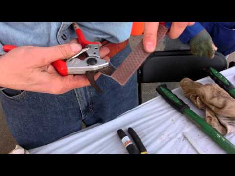 A Master Gardner explains how to Sharpen Pruning Shears and other Garden tools