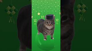 Download lagu Oia Balik Kampung song #uiia #oia #cat #raya #fasting #puasa #Ramadan #hariraya #ramadhan2025 mp3 Download lagu Oia Balik Kampung song #uiia #oia #cat #raya #fasting #puasa #Ramadan #hariraya #ramadhan2025 mp3