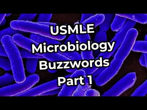 USMLE Step 1 Microbiology Buzzwords (Part 1)