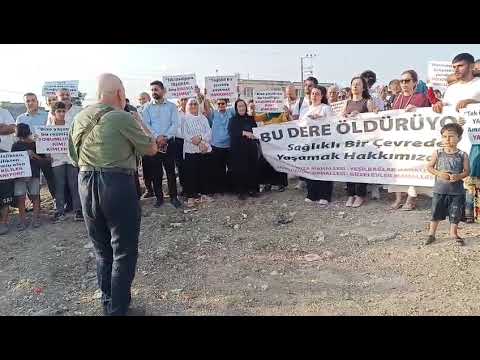 Yaşar Gökoğlu, Bu Dere Öldürüyor, Bu Çevre Felaketine Sessiz Kalmıyoruz.