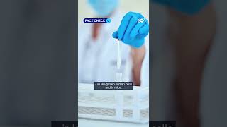 DW Fact-Checks Viral Claim That Honeybee Venom Cures Cancer in Minutes