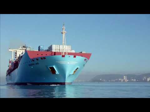 馬士基股價因謹慎的貿易前景而下跌 (Maersk shares tumble on wary trade outlook)