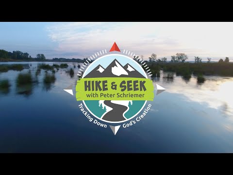 Sandhill Cranes—Hike and Seek with Peter Schriemer