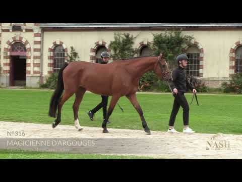 MAGICIENNE D'ARGOUGES