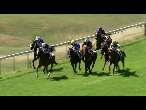 Oostende Koerse 2025 | Koers 4 | Maandag 25 augustus