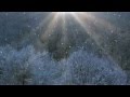 Dona Nobis Pacem - Sung by Carrie Newcomer