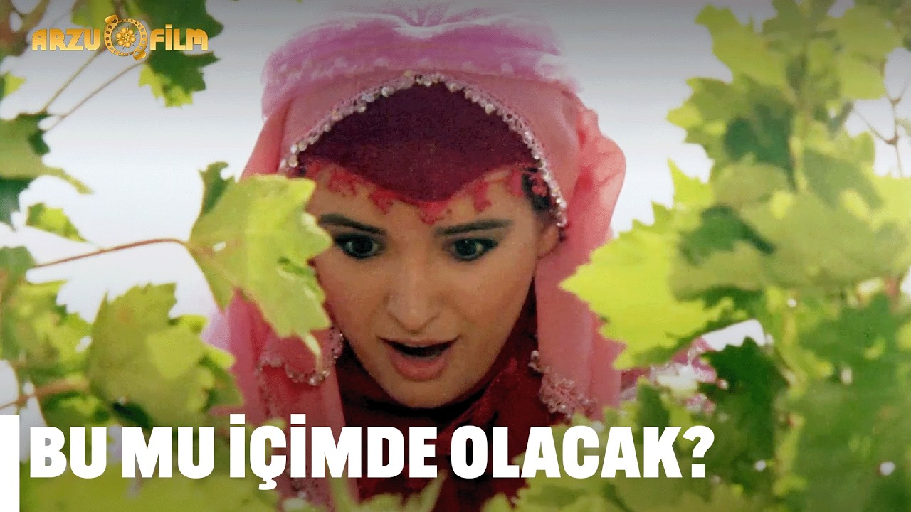 Aboo Ne Büyüktür Bu - Kibar Feyzo