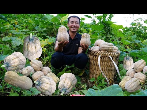 Jhony harvested a large quantity of pumpkins to sell at the market.