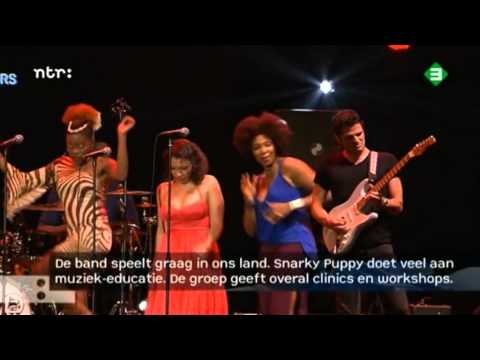 Snarky Puppy and Friends - Wear me down