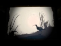 Emily Laurens - The Last of the Curlews DEFAULT Thumbnail