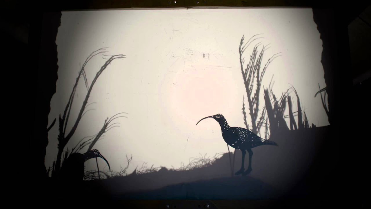Emily Laurens - The Last of the Curlews