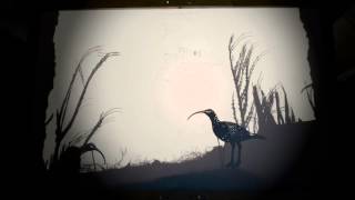 Emily Laurens - The Last of the Curlews MQDEFAULT Thumbnail