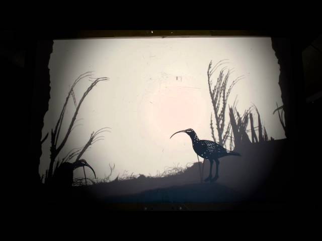 Emily Laurens - The Last of the Curlews SDDEFAULT Thumbnail