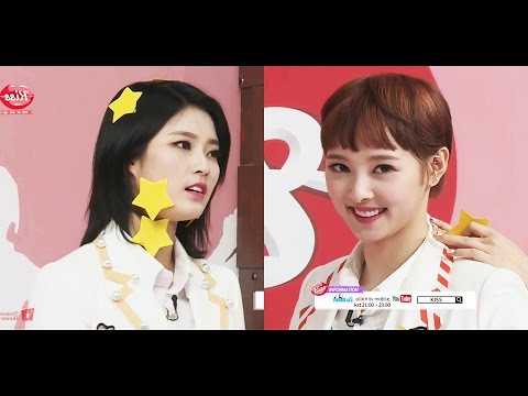 160707 SONAMOO 소나무 - DANA , NEWSUN "Shake it Off" Challenge @K.I.S.S 키스