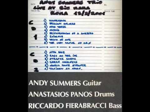 ANDY SUMMERS TRIO - Roma 13-03-2001 "Big Mama" Italy (FULL AUDIO SHOW)