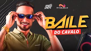 FORRÓ NAQUELE PIQUE - BAILE DO CAVALO - SÓ AS MELHORES DE 2026