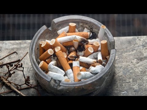WHO reports progress in the fight against smoking