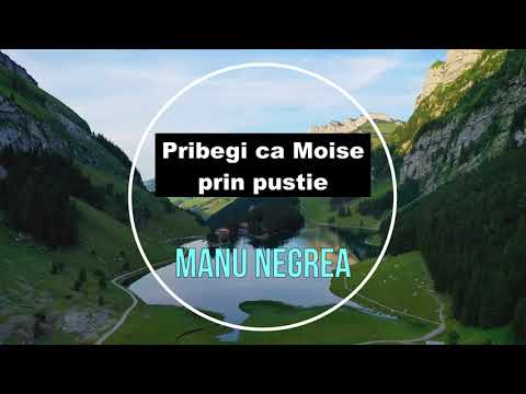 Manu Negrea - Pribegi ca Moise prin pustie