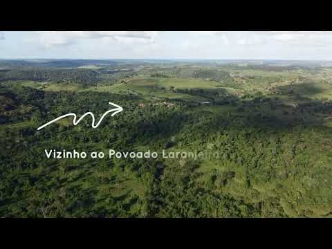 VENDA | FAZENDA SANTA CLARA | 140 HECTARES EM SÃO SEBASTIÃO DO PASSÉ - BAHIA.