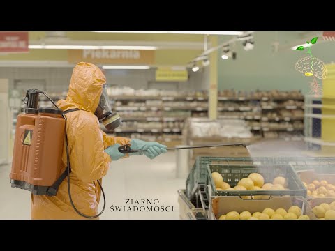 Film Ziarno Świadomości