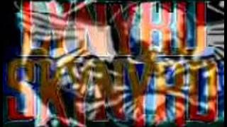 LYNYRD SKYNYRD Things Goin&#39; On(Acoustic) Duet