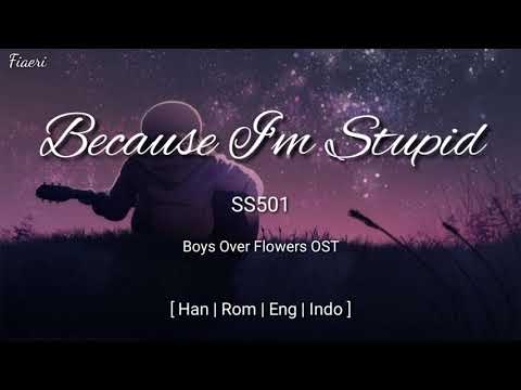 [IndoSub] SS501 - Because I'm Stupid [Han/Rom/Eng/Indo] Lyric