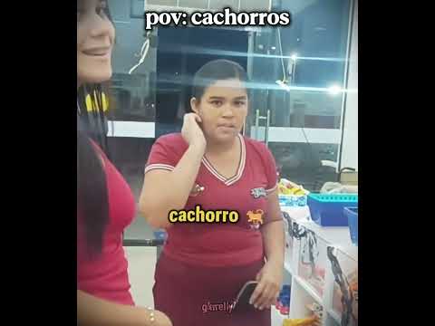 ela só pediu um sorriso olha a reação dele kkk | #humor #cachorro #shorts