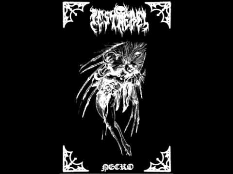 Pestnebel - The Spirit Of Terror