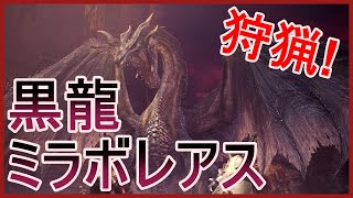 [MHW:IB]ラスト配信します！参加型！概要欄見てね♪[モンスターハンターワールドアイスボーン]
