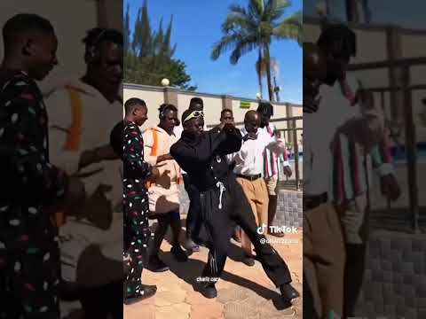 #hbkliveact #siyaphambili #zieziezondi #dance #amapianodance #music