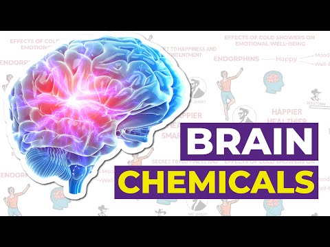 Serotonin vs Dopamine vs Cortisol | The Three Musketeers of Mood