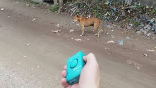 Dog Repeller, Dog Repellent  Original J1003, Dog Go Away.
