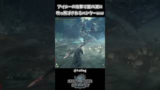 フレネミーすぎるアイルーが面白すぎるｗｗ【モンハンアイスボーン】